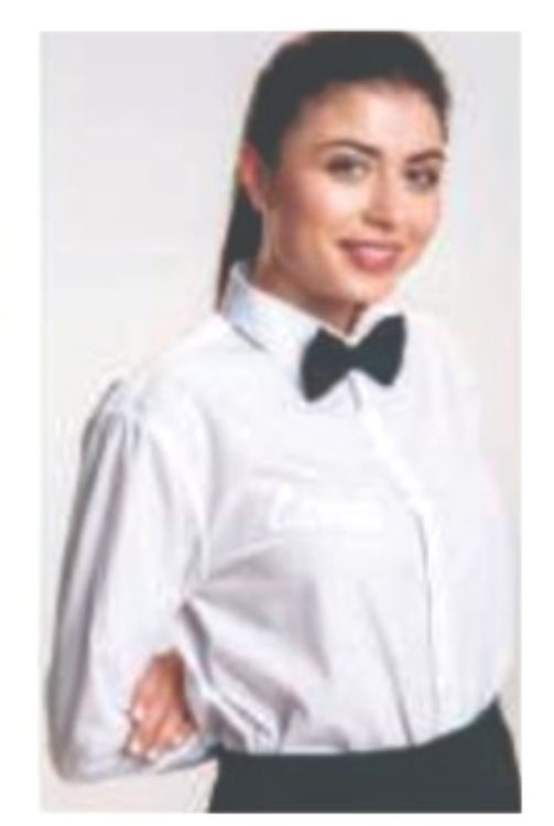 FEMALE FORMAL SHIRT FFS-01